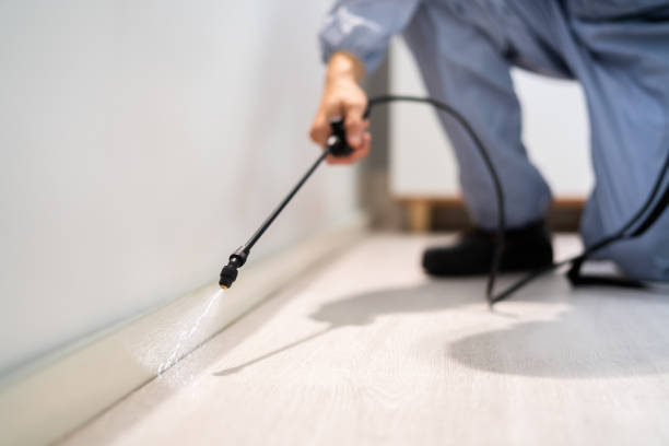 Professional exterminator conducting IPM assessment in Brookside