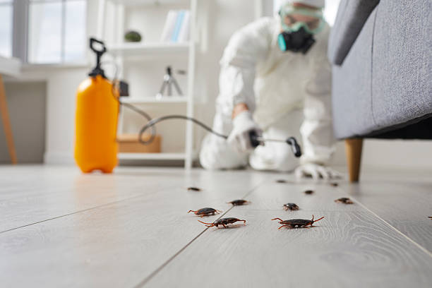 Post-Treatment Bed Bug Interceptor Monitoring in Brookside