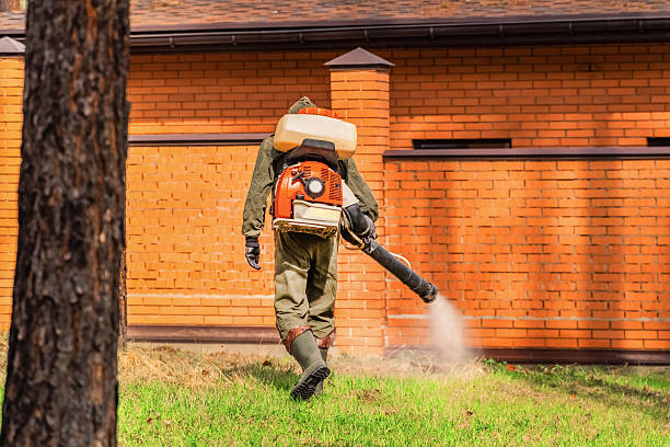 Bed Bug Clearance Verification and Documentation in Brookside
